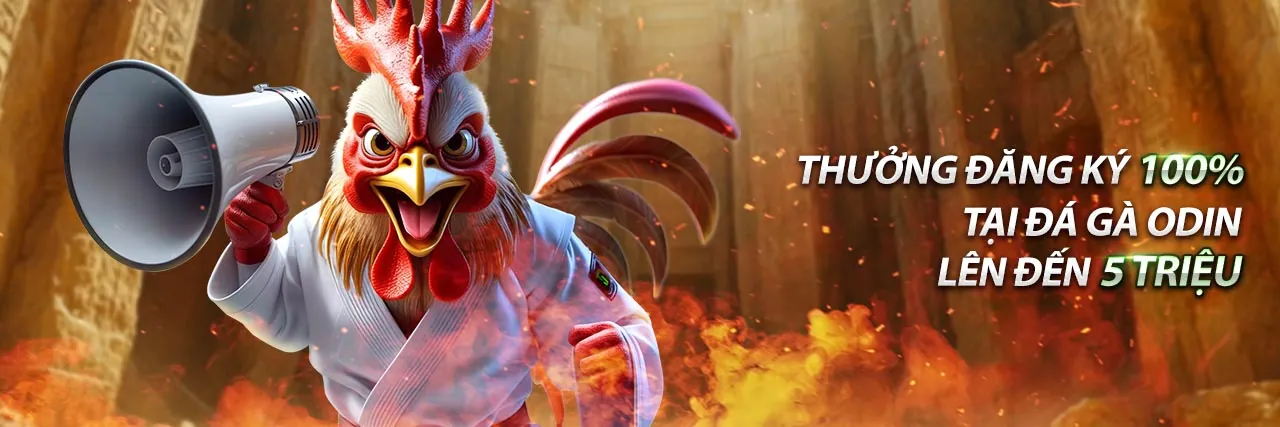 Sân đấu đá gà trực tiếp 88 sôi động