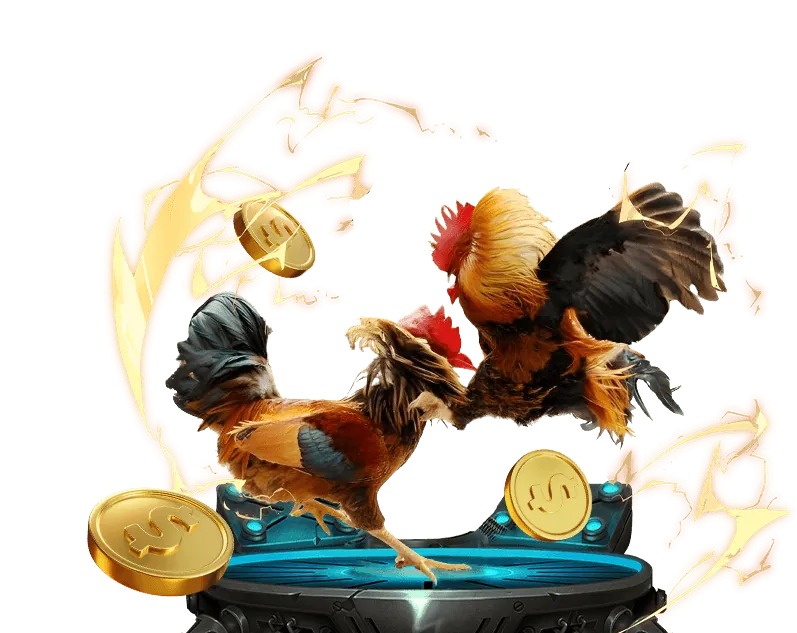 Giao diện cá cược đá gà trực tuyến với các tùy chọn đặt cược